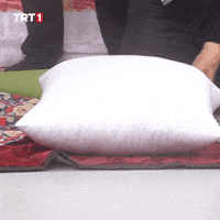 Angry Fight GIF by TRT