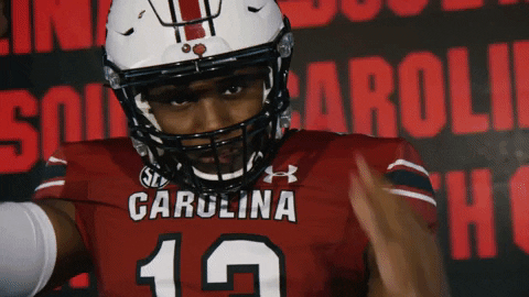 College Football GIF by gamecocksonline