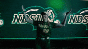 Ndsu Softball GIF by NDSU Athletics