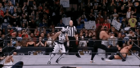 The Elite Wrestling GIF by AEWonTV