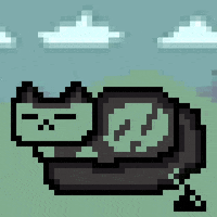 eynmaginaire cat ginger ollie ollie the cat GIF