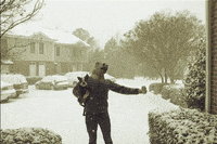 snow ryan shelley GIF