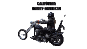 Girl Woman Sticker by California Harley-Davidson
