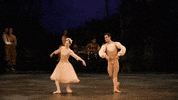 Swanlake GIF by English National Ballet