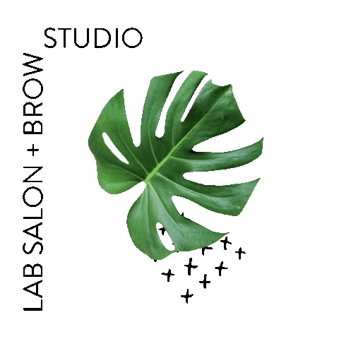 LabSalonAndBrowStudio giphyupload lab hairsalon brow Sticker