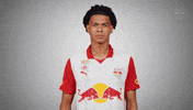 Knapp GIF by FC Red Bull Salzburg