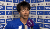 Football Brighton GIF