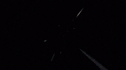 Crypto Flash GIF by Litecoin