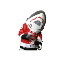 Goal Celebrate Sticker by Koelner Haie