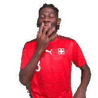 Switzerland Suisse Sticker by Swiss Football Association