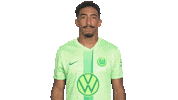 Like A Boss Deal With It Sticker by VfL Wolfsburg