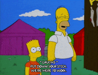 homer simpson GIF
