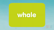 sea creature whale GIF by Super Simple