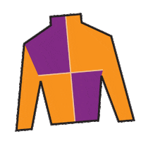 Horse Racing Silks Sticker by Kentucky Derby