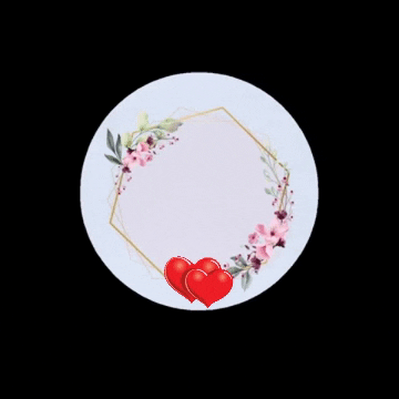 GIF by paroquialns