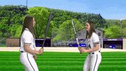 Warriors Softball GIF by WinonaStateATH