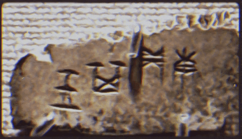 fragment of an oracle bone with carved marks