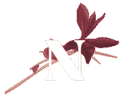design style Sticker by Natuzzi
