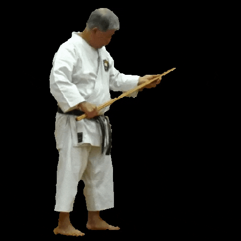 matsubayashi giphygifmaker karate zen dojo GIF