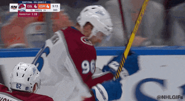 Ice Hockey Hug GIF by NHL