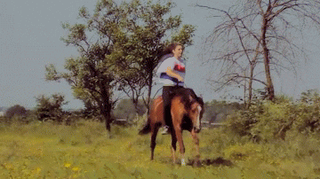 horseback riding horse GIF