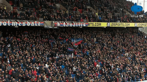 Premier League Fan GIF by MolaTV