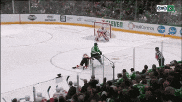 FOXSportsSW celebration celebrate goal hockey GIF