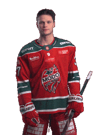 Sticker by MoDo Hockey