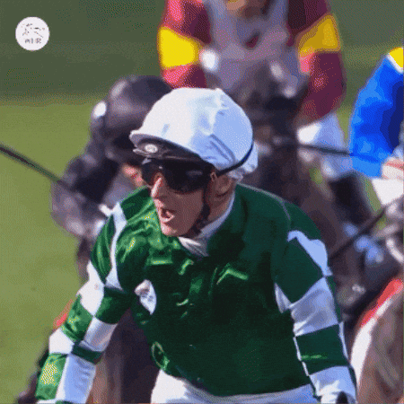 Horse Riding GIF by World Horse Racing