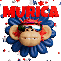 Independence Day Stars Sticker by Evan Hilton