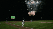 Home Run Baseball GIF by Jomboy Media