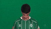 Werder Bremen GIF by Bundesliga