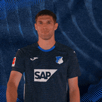 Sport Bundesliga GIF by TSG Hoffenheim