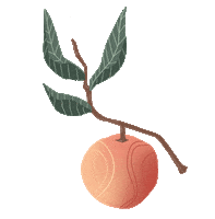 Fresh Fruit Food Sticker by molehill