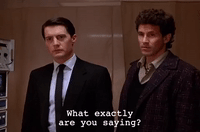 season 1 GIF by Twin Peaks on Showtime