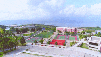sakaryauni sau sakaryauniversitesi sakaryauni GIF