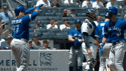 major league baseball sport GIF by MLB