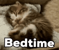 Sleepy Good Night GIF