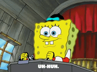 Season 5 GIF by SpongeBob SquarePants