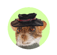 Shock Wow Sticker by Adele Morse - Stoned Fox Official