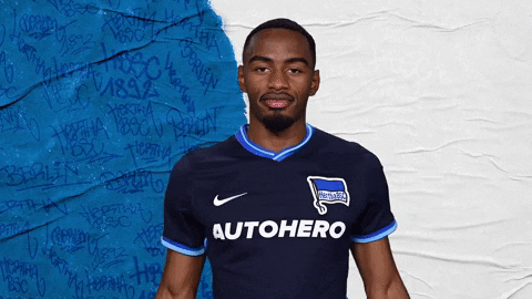 Goal Bundesliga GIF by Hertha BSC