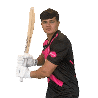 Ball Bat Sticker by Somerset County Cricket Club