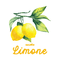 Fashion Miami Sticker by Blu Scarpa