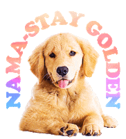 Golden Retriever Yoga Sticker by Puppies Make Me Happy