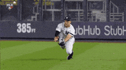 Jomboy  GIF