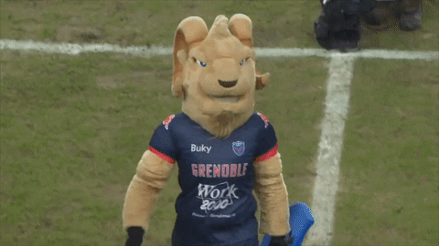 wave mascot GIF by FCG Rugby