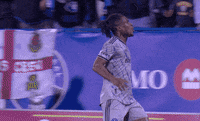 Celebrate Lets Go GIF by Major League Soccer
