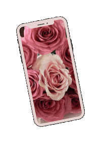 dreaminginteriors iphone blush building builder Sticker