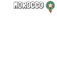 World Cup Football Sticker by Pudgy Penguins