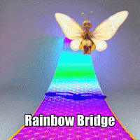 Buddhafly Character GIF by BuddhaFlyJourney